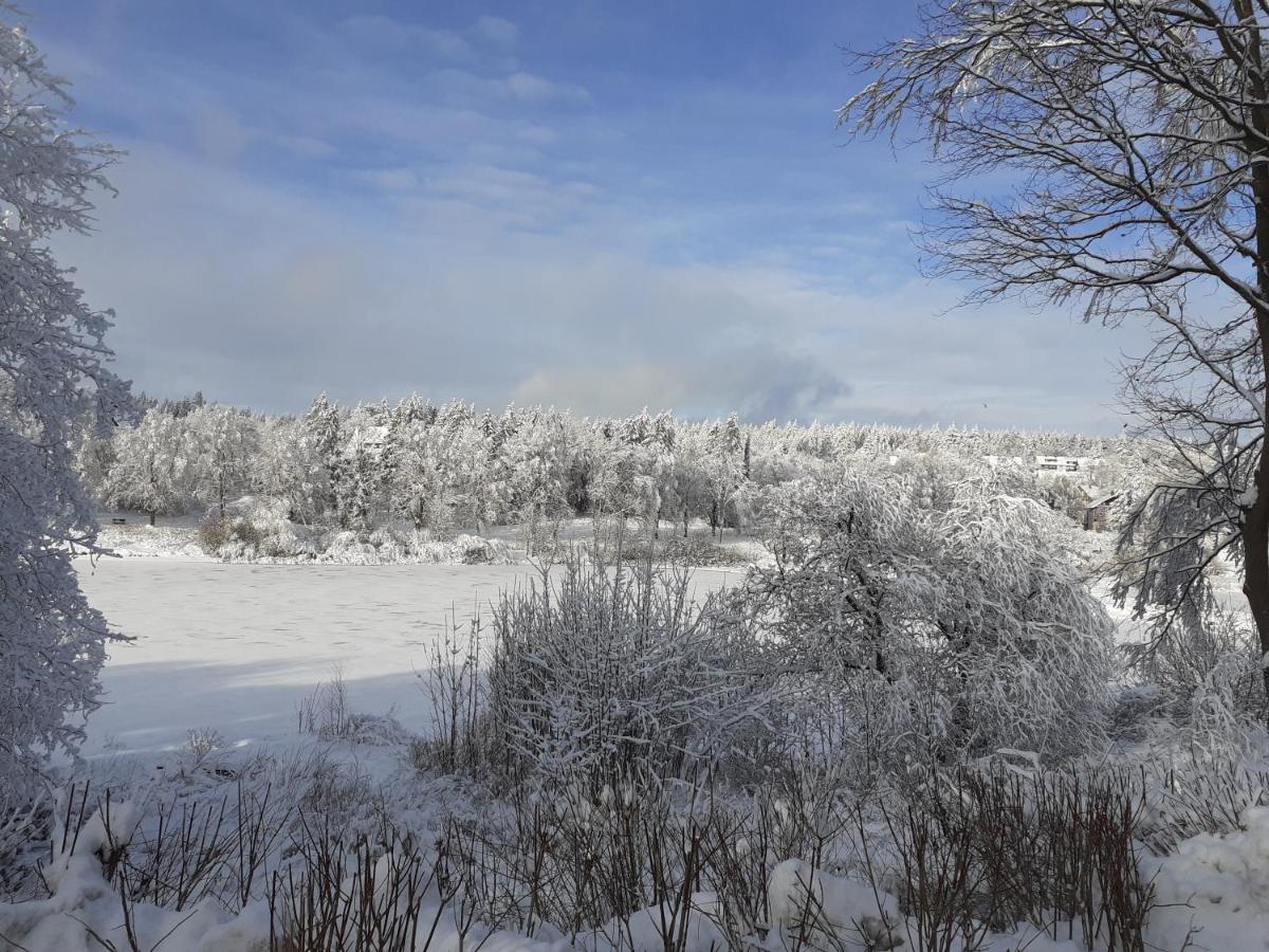 Premium-Ferienwohnungen Bergblick Im Haus Hopfe กอสลาร์ ภายนอก รูปภาพ