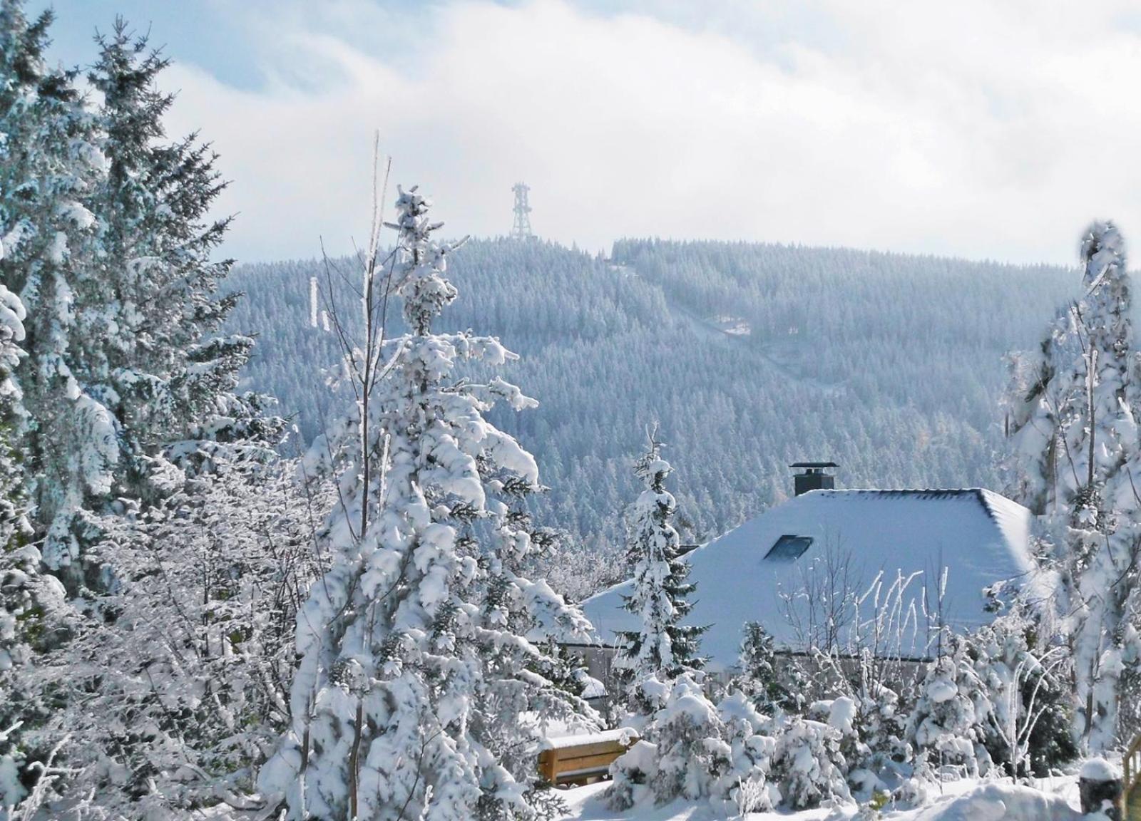 Premium-Ferienwohnungen Bergblick Im Haus Hopfe กอสลาร์ ภายนอก รูปภาพ