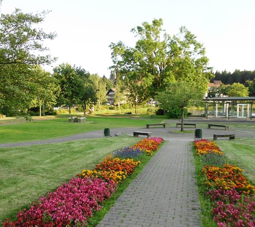 Premium-Ferienwohnungen Bergblick Im Haus Hopfe กอสลาร์ ภายนอก รูปภาพ