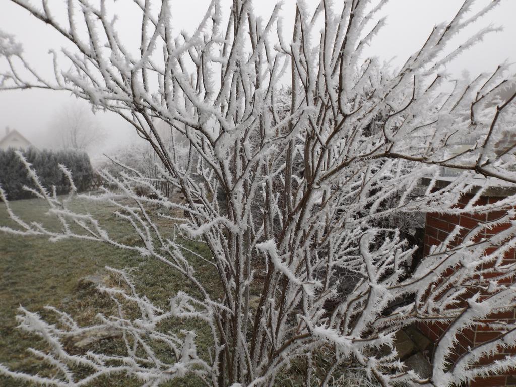 Premium-Ferienwohnungen Bergblick Im Haus Hopfe กอสลาร์ ภายนอก รูปภาพ