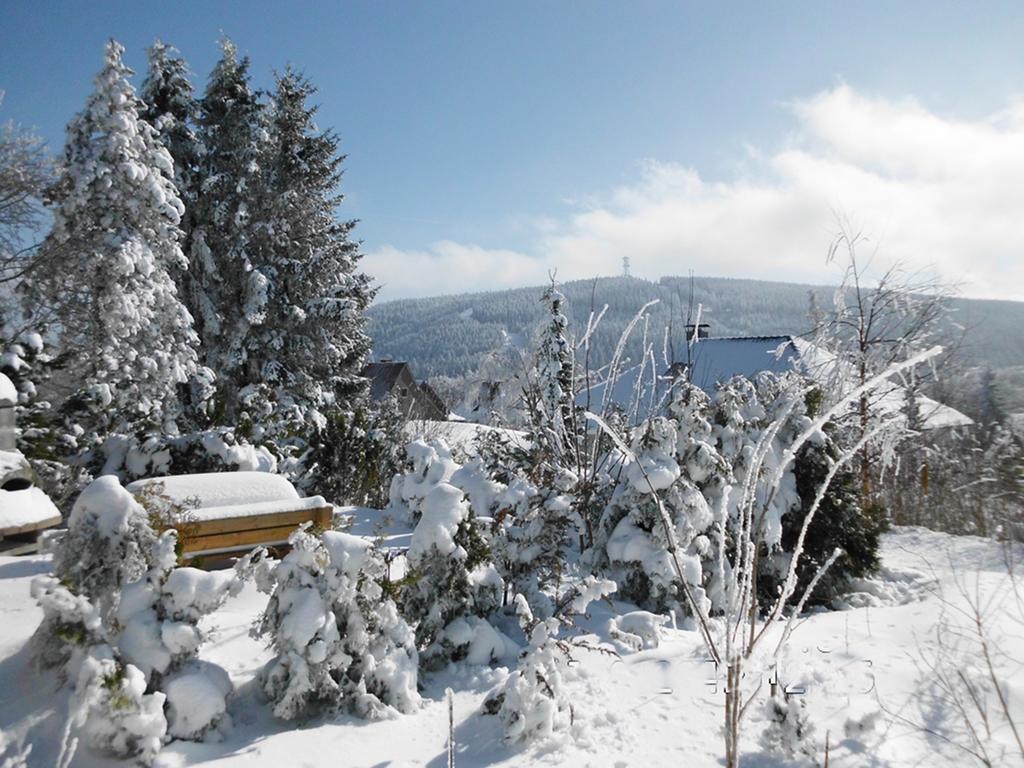 Premium-Ferienwohnungen Bergblick Im Haus Hopfe กอสลาร์ ภายนอก รูปภาพ