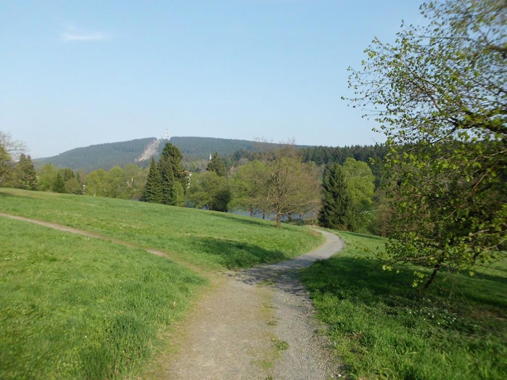 Premium-Ferienwohnungen Bergblick Im Haus Hopfe กอสลาร์ ภายนอก รูปภาพ