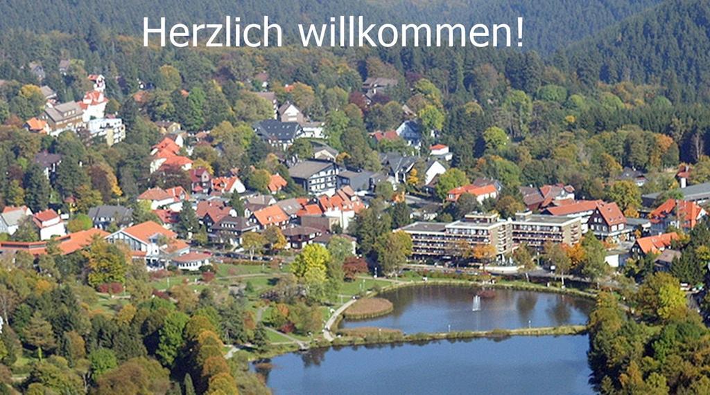 Premium-Ferienwohnungen Bergblick Im Haus Hopfe กอสลาร์ ภายนอก รูปภาพ